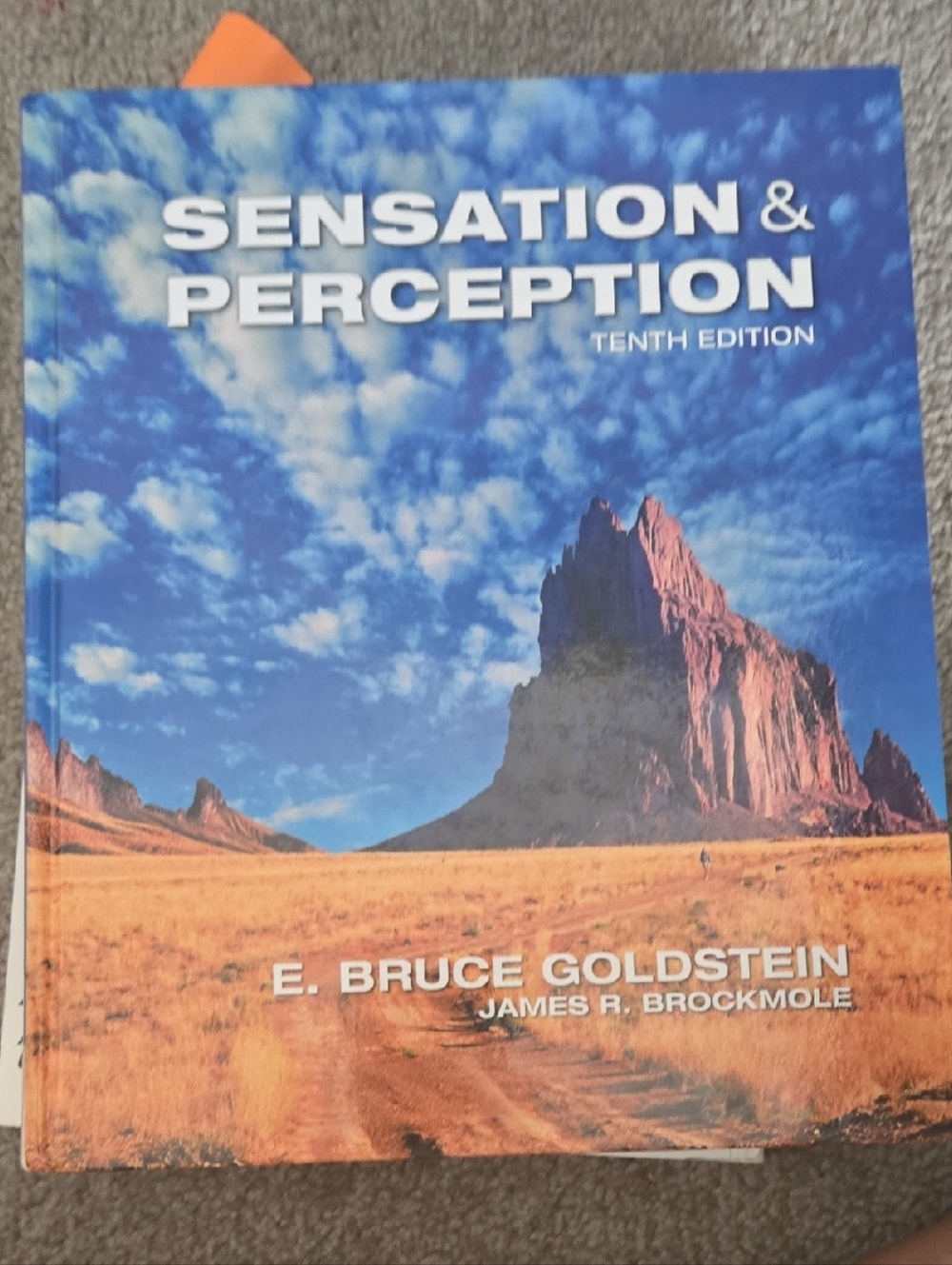 Cengage Learning Textbook - Blue Ombre Cover